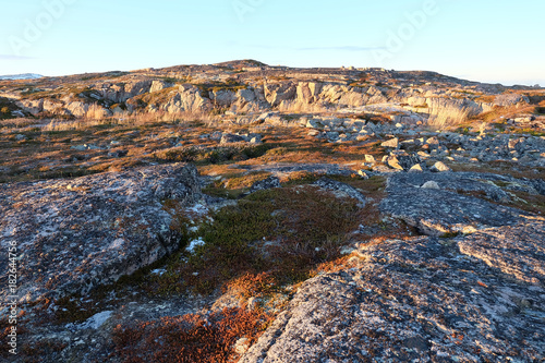 Tundra landscape at Barents Sea in Teriberka , Murmansk