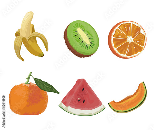 Fototapeta Naklejka Na Ścianę i Meble -  Fruits icons set icon vector illustration graphic design