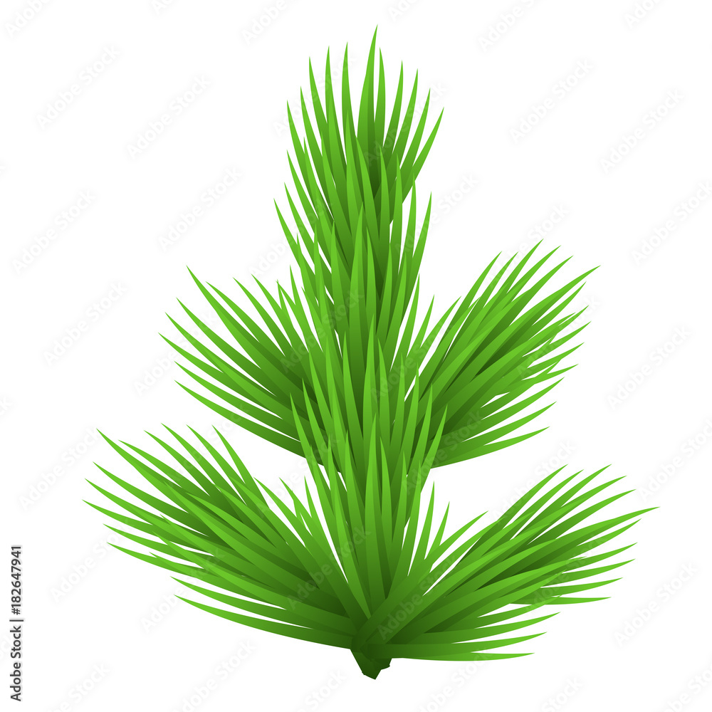 Green lush spruce branch. Isolated on white vector illustration Green lush spruce branch. Isolated on white vector illustration