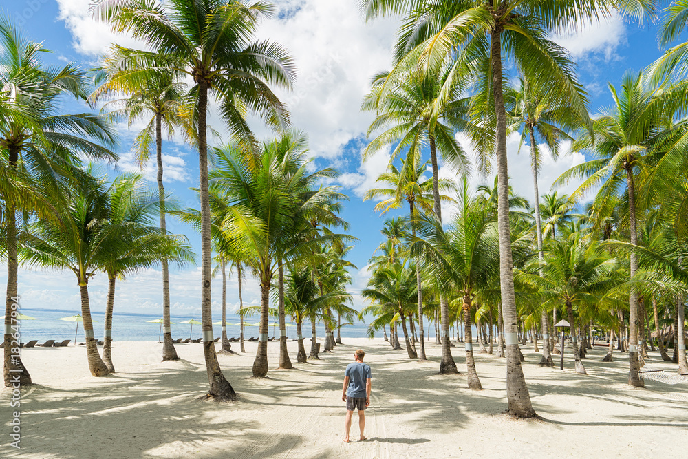 Man walking between palms on the  seashore. Back view.