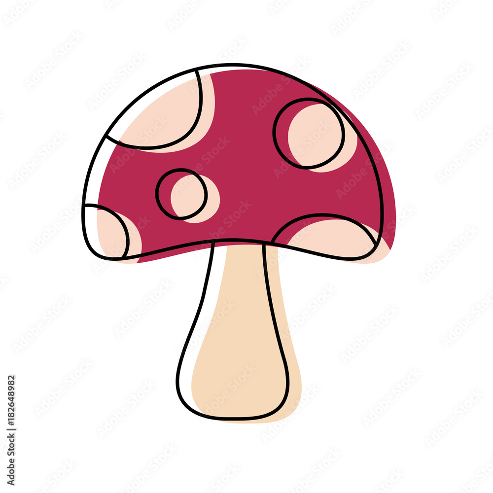 fungus vector illustration fungus vector illustration