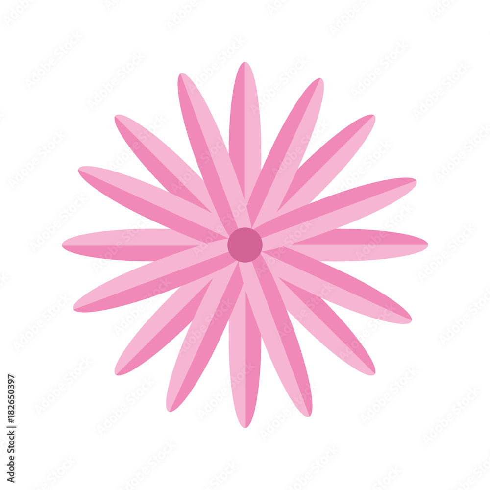 flower vector illustration