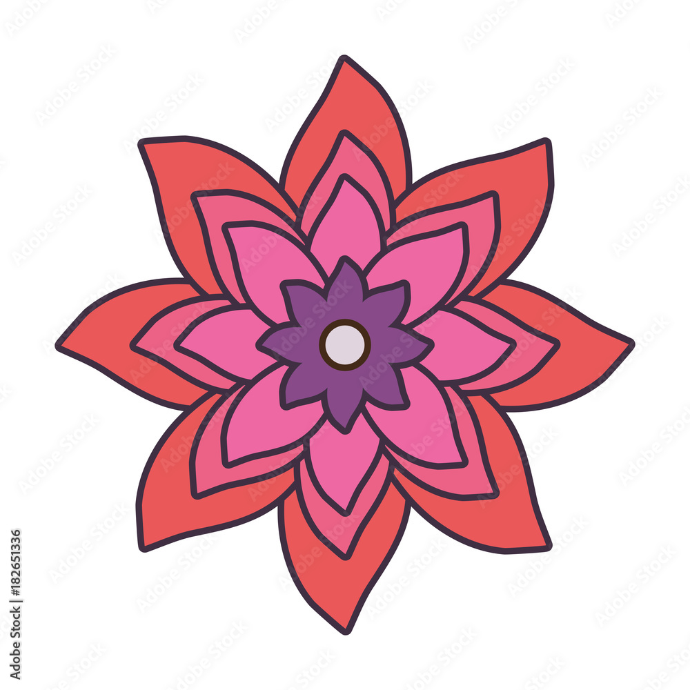 flower vector illustration