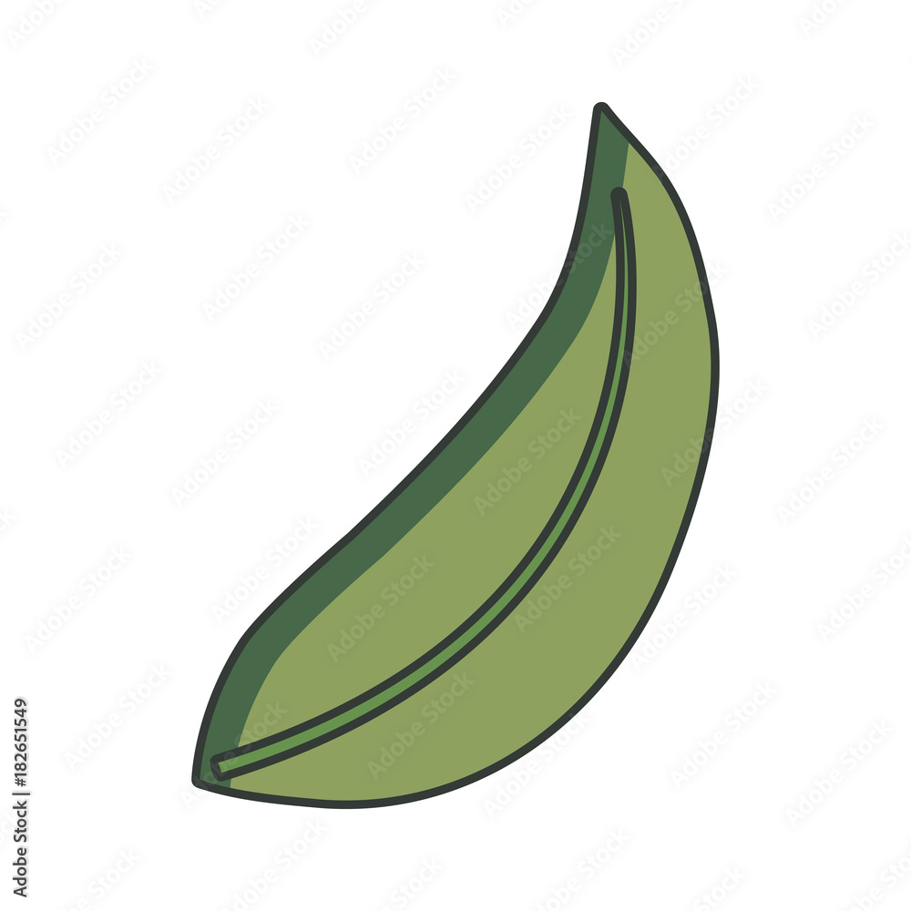 leaf vector illustration leaf vector illustration