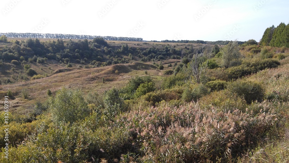 Naklejka premium yaruga