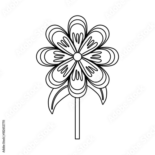 flower  stem  vector illustration