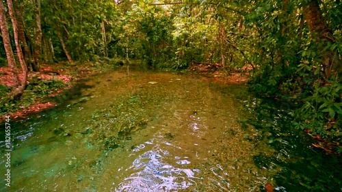 Scenic shot of a river flowing through a forest ALTERNATIVE VERSION photo