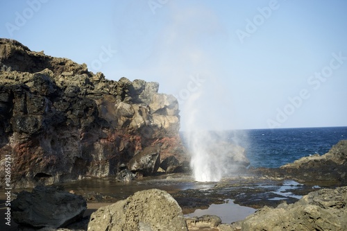blowhole