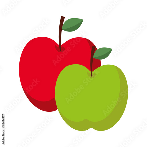 two apple fruit tropical nutrition food health vector illustration