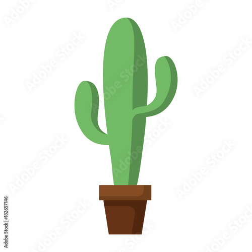 potted cactus plant natural decoration interior vector illustration
