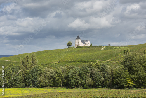 Church and Vineyards in Chavot-Courcourt