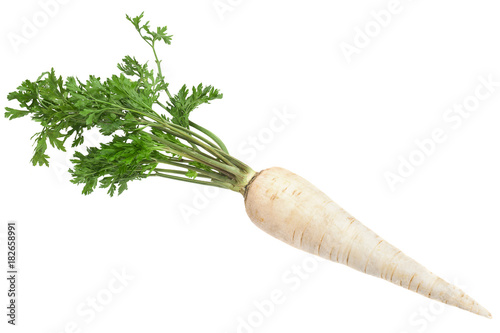Parsnip root with leaf photo