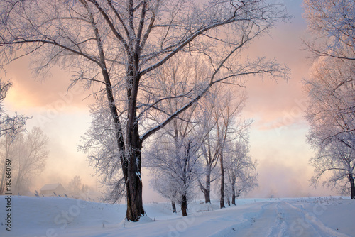 Snowy frozen landscape of sunrise on lakeside with trees 