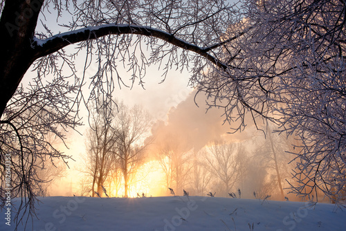 Snowy frozen landscape on sunrise with trees and smoke of factory 