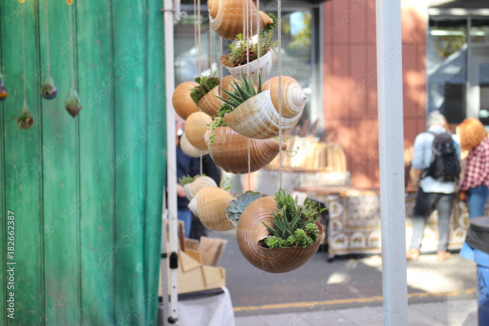 Shells with plants for sale on the Saturday Market in Portland, Oregon