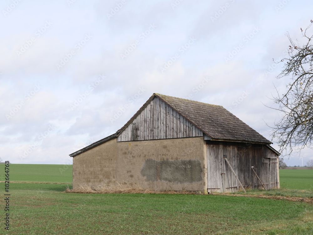 agricultural shed on field, tree in autumn in the foreground. agricultural shed on field, tree in autumn in the foreground.