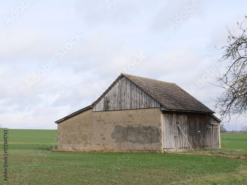 agricultural shed on field, tree in autumn in the foreground.
