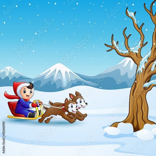 Happy boy riding on a sleigh pulled by two dog