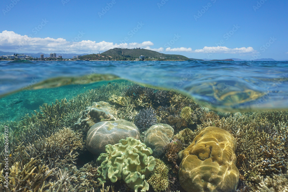 Above and below sea surface, healthy coral reef underwater in the lagoon of Grande Terre island off the coast of Noumea city, New Caledonia, Pacific ocean, Oceania
