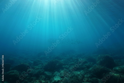 Canvas Print Natural sunbeams underwater with rocks on the seabed and a shoal of small fish,