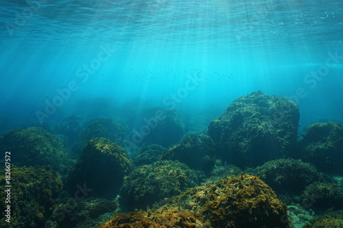 Платно Underwater seascape with natural sunlight through water surface and rocks on the
