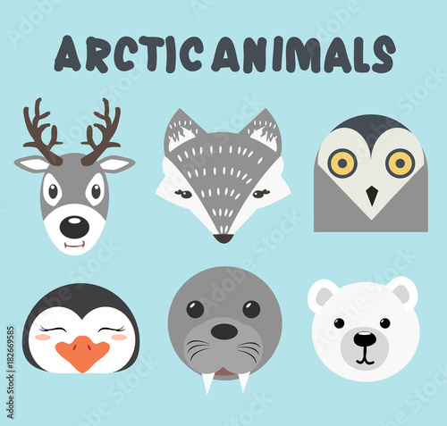 Bilde på lerret head cute artic animals