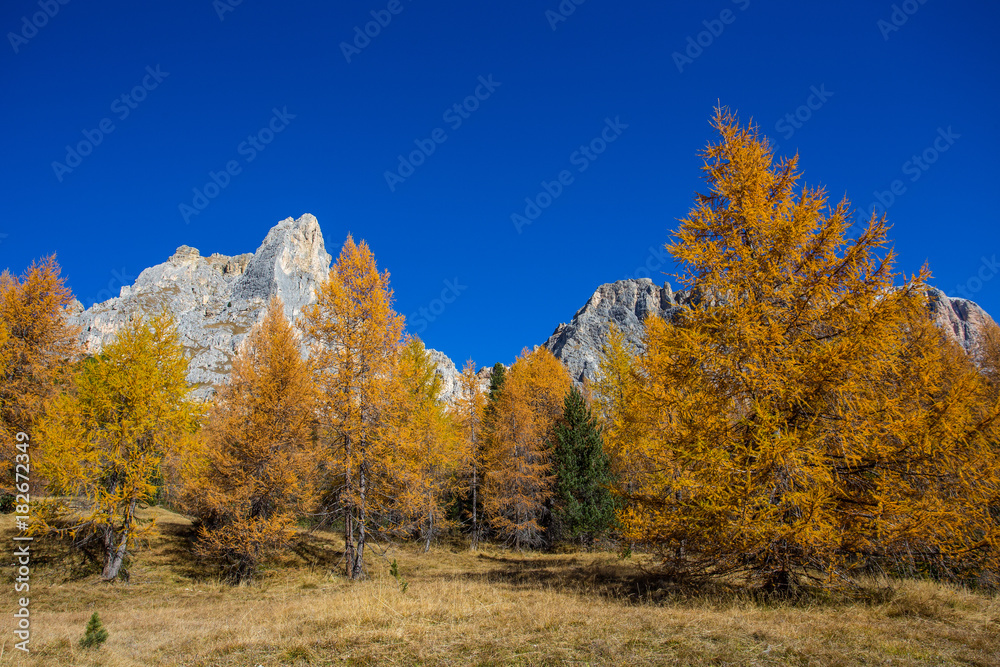Autumn landscape in Dolomites, Italy. Mountains, fir trees and above all larches that change color assuming the typical yellow autumn color. Autumn landscape in Dolomites, Italy. Mountains, fir trees and above all larches that change color assuming the typical yellow autumn color.