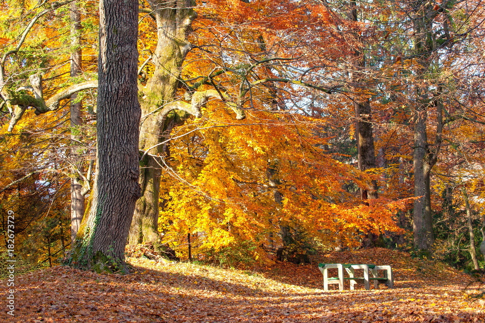 Obraz premium ブレッド湖