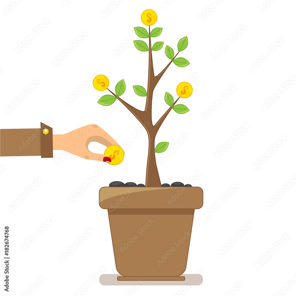 Fototapeta premium Investment growth concept, hand holding golden coin and small money tree.