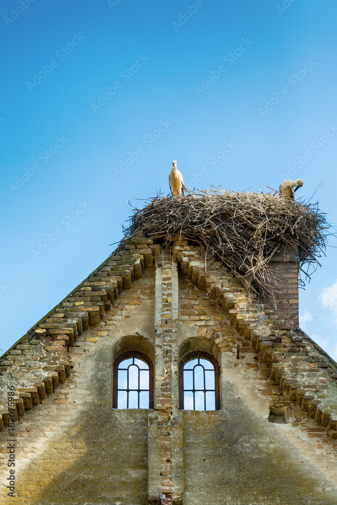 Naklejka premium Abandoned church in Banostor from Serbia