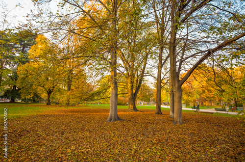 Autumn in Sempione Park in Milan, Italy. photo