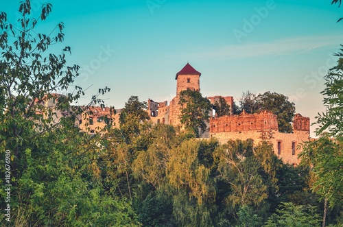 Beautiful castle ruins. Tenczyn castle in Rudno, Poland. © shadowmoon30