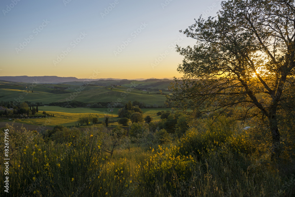 landscape near San Quirico d`Orcia, Val d`Orcia, province of Siena, Tuscany, Italy, UNESCO World Heritage landscape near San Quirico d`Orcia, Val d`Orcia, province of Siena, Tuscany, Italy, UNESCO World Heritage