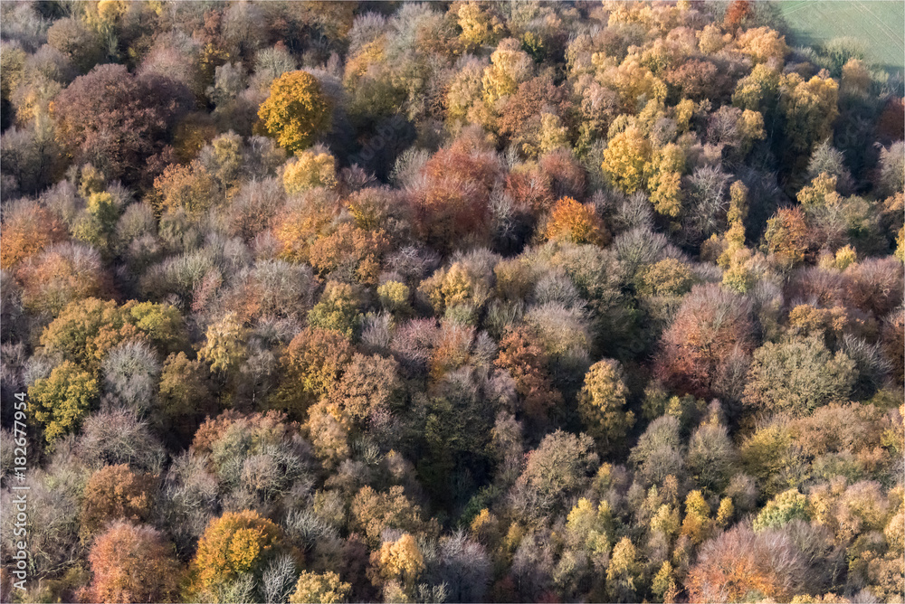 Photo aérienne de forêt à l'automne à Grumesnil en Seine Maritime en France Photo aérienne de forêt à l'automne à Grumesnil en Seine Maritime en France