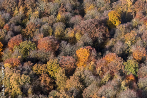 Photo aérienne de forêt à l'automne à Grumesnil en Seine Maritime en France © Francois