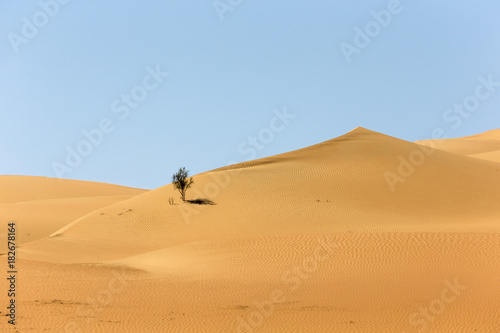 Desert