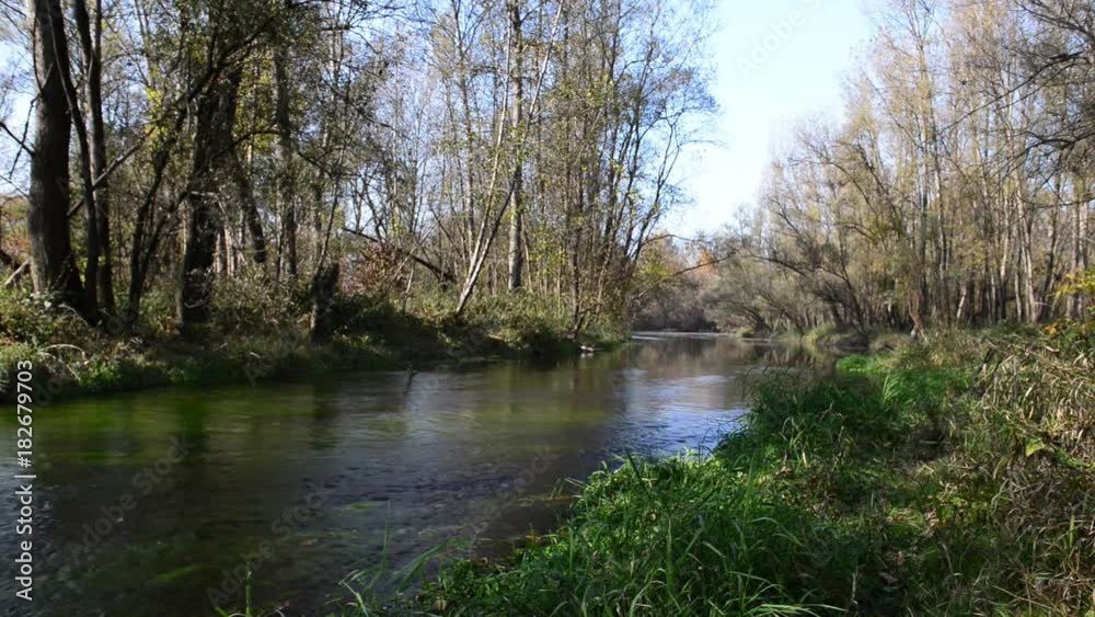 autunno su fiume in una bella giornata di sole autunno su fiume in una bella giornata di sole