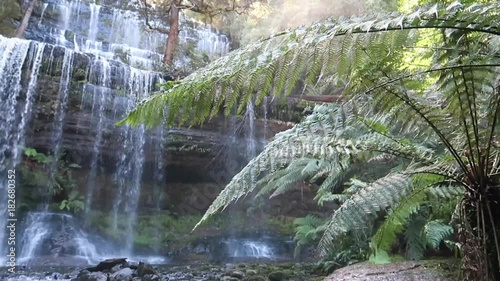 Waterfall with palm fronds in wilderness setting, Tasmania.