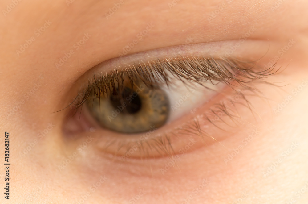 Fototapeta premium The boy's eye.
