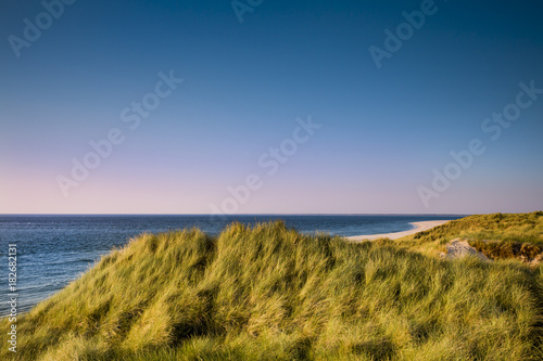 Dunes, Ellenbogen, Sylt Island, North Frisian Islands, Schleswig-Holstein, Germany photo