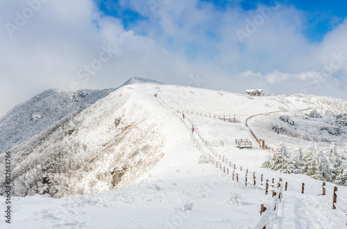  winter landscape in the mountains with falling snow in Seoul,South Korea. © CJ Nattanai