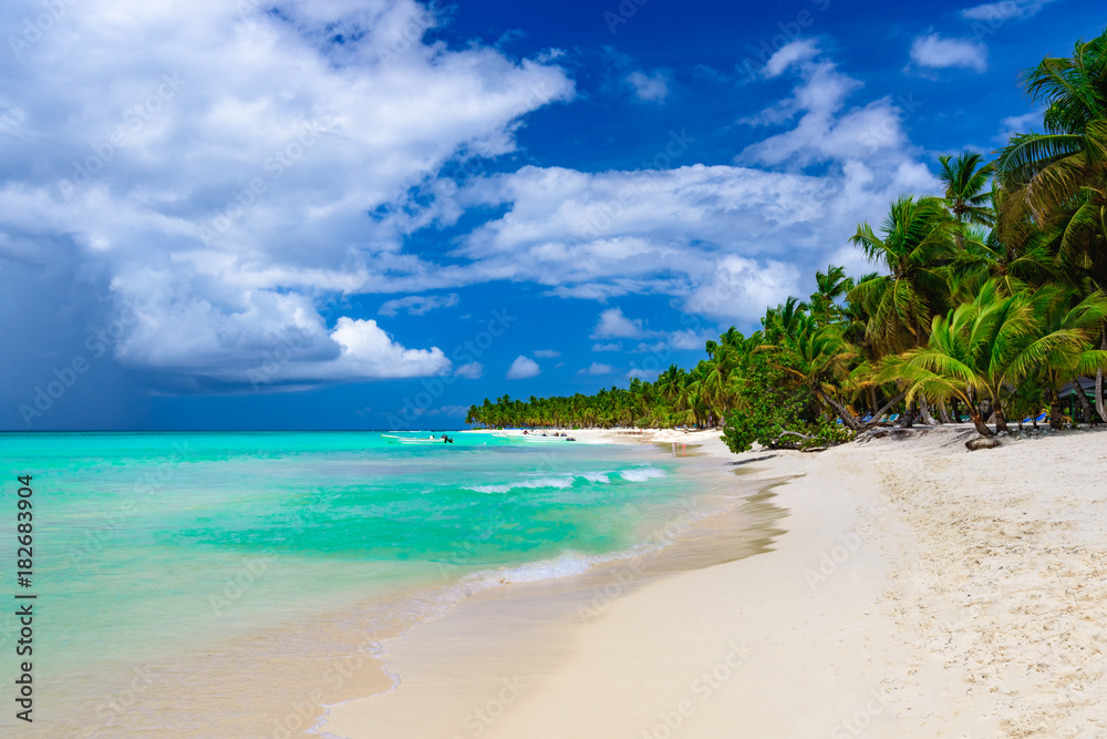 paradise resort beach palm tree sea Dominican Republic