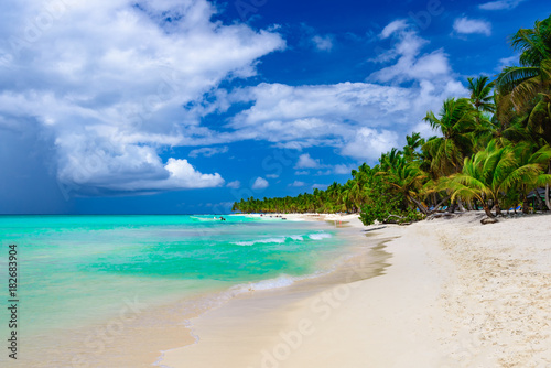 paradise resort beach palm tree sea Dominican Republic © dbrus