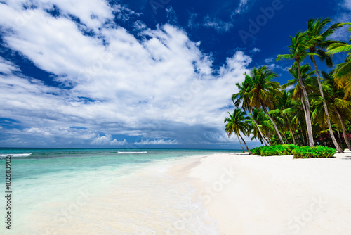 paradise resort beach palm tree sea Dominican Republic © dbrus