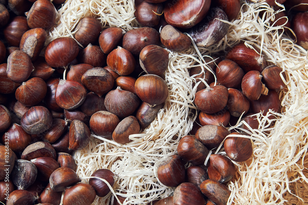 Raw chestnuts (Castanea) in a crate. Top view Raw chestnuts (Castanea) in a crate. Top view