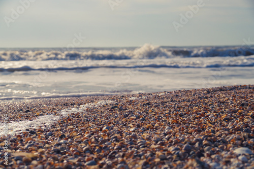 beach of seashells