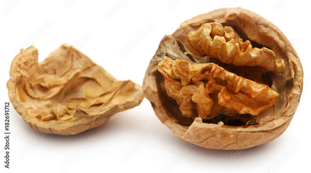 Walnut isolated Walnut isolated