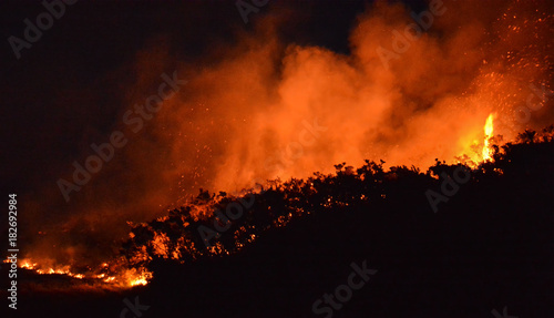Gorse fire in Ireland.