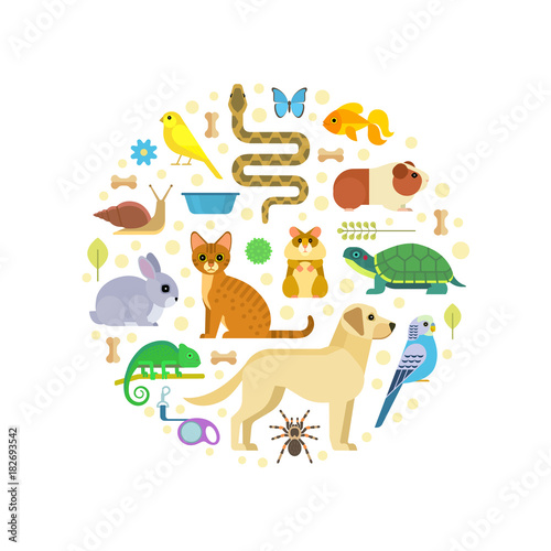 Vector colorful collection of pets, including dog, cat, rabbit, tortoise, parrot, snake, guinea pig, chameleon, hamster, tarantula and canary arranged in a circle, isolated on white.