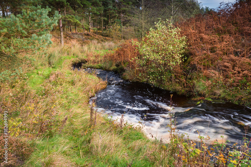 River Wansbeck leaves Sweethope Lough / The River Wansbeck rises in the Northumberland hills above Sweethope Lough, then journeys towards the North Sea near Newbiggin photo